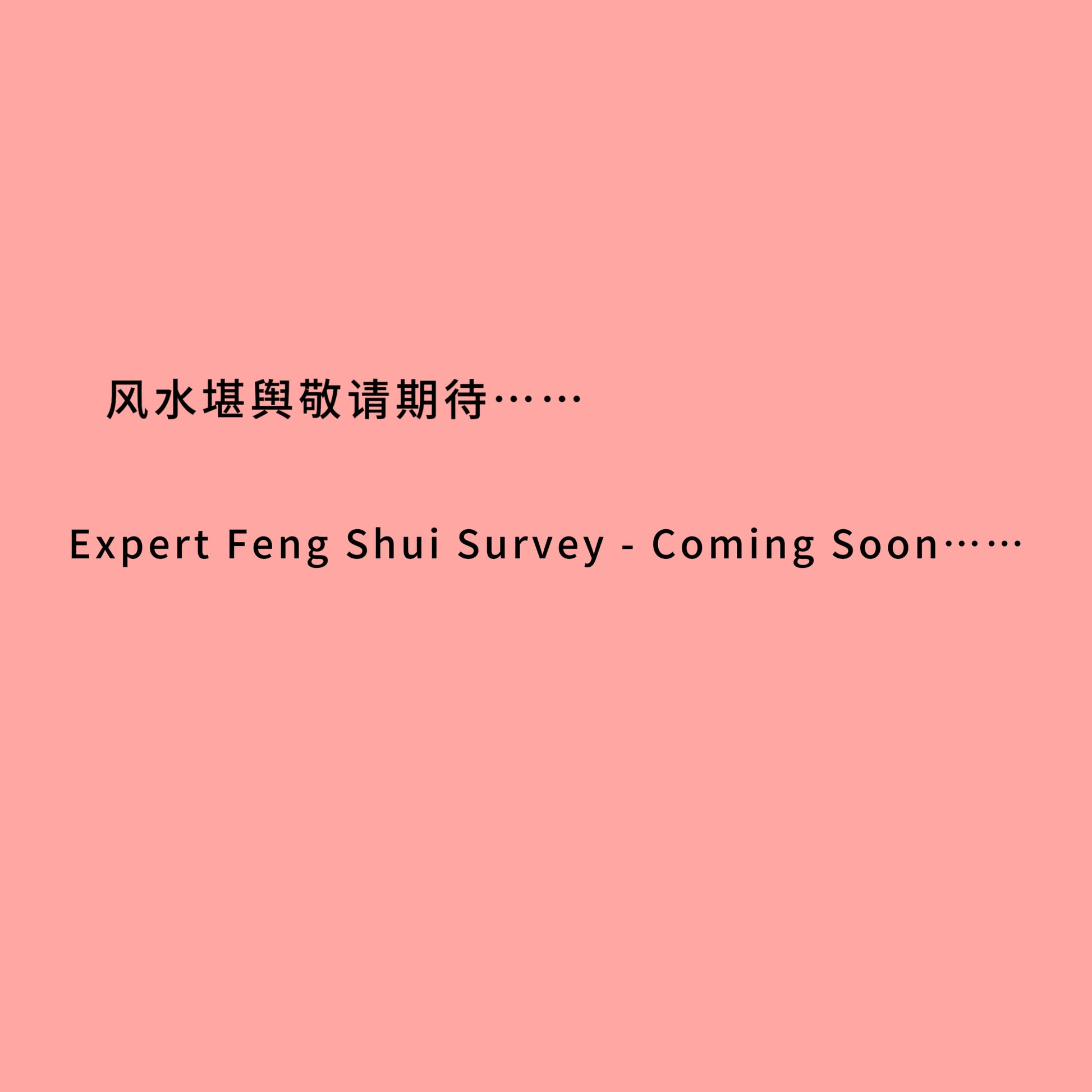 Fengshui Consultation