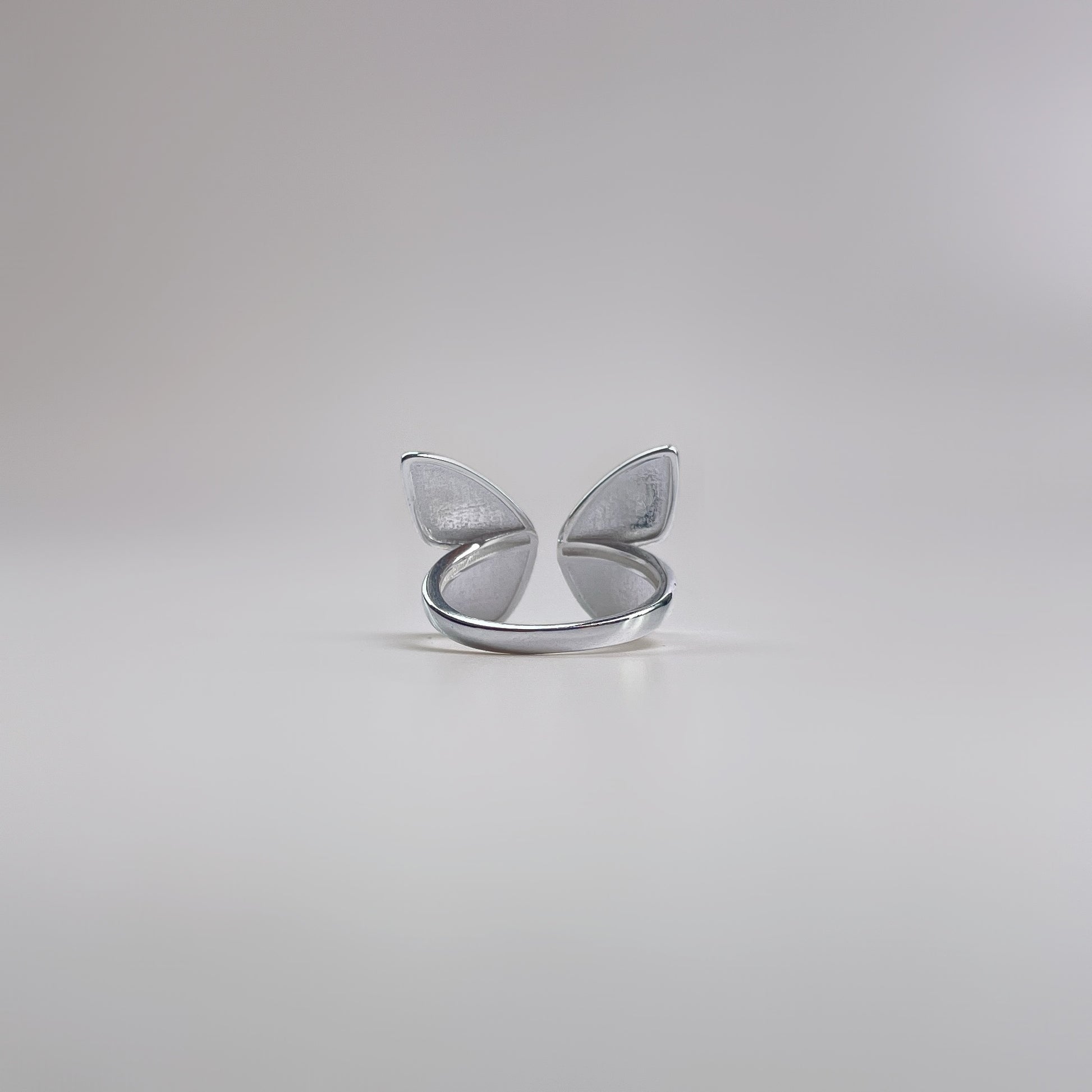 Wander Out – Ring